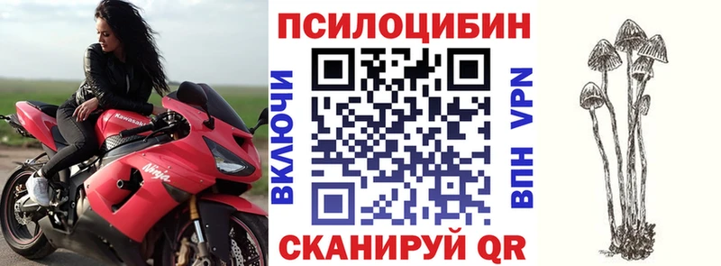 Галлюциногенные грибы мухоморы  Сольвычегодск 