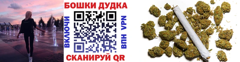Бошки марихуана Amnesia  Сольвычегодск 
